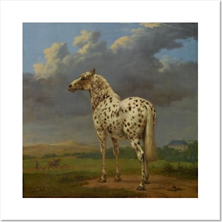 The 'Piebald' Horse by Paulus Potter Posters and Art